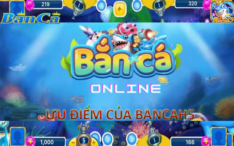 Những đặc điểm được đánh giá cao